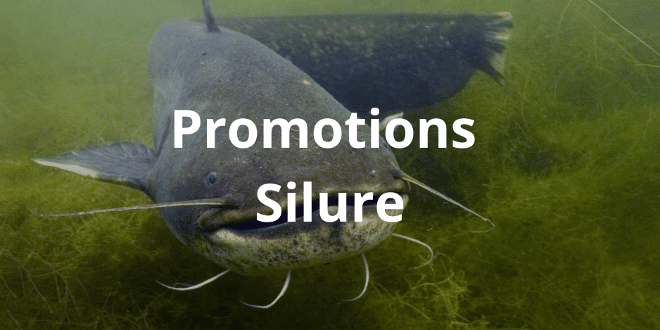 promotions materiel de peche silure promotions materiel de peche silure