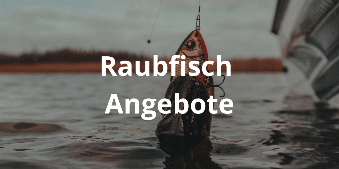 raubfisch-angebote