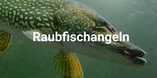 Raubfischangeln Raubfischangeln