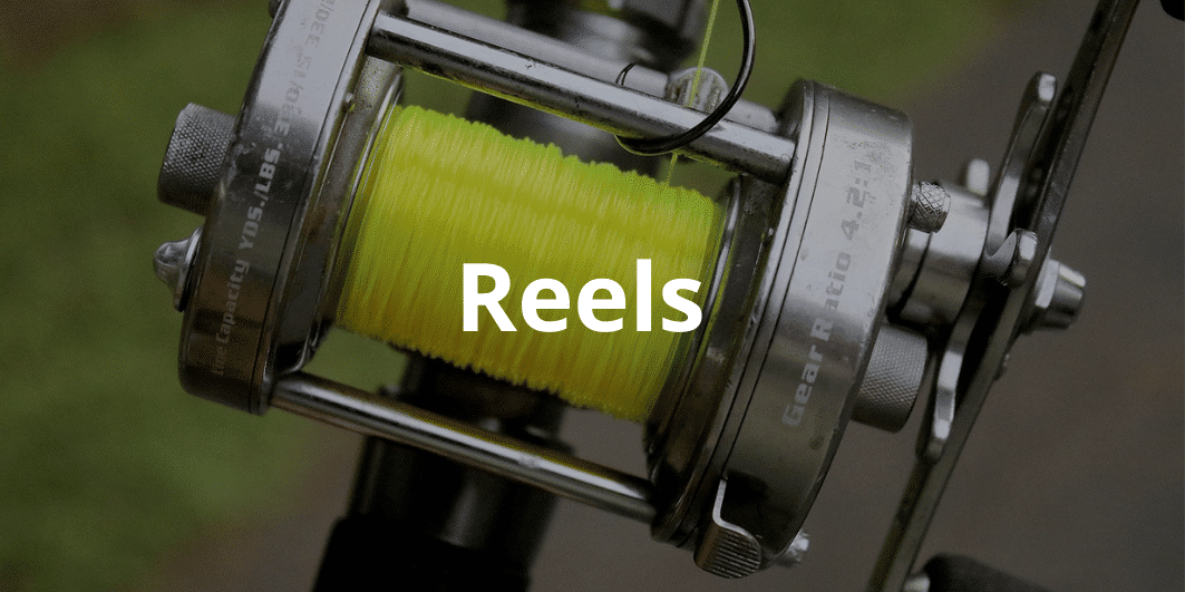 catfish reels catfish reels