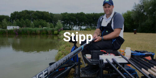 stippangeln stippangeln