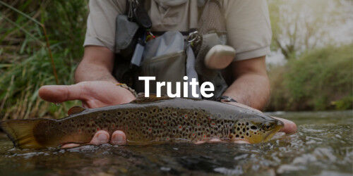 Matériel de pêche truite