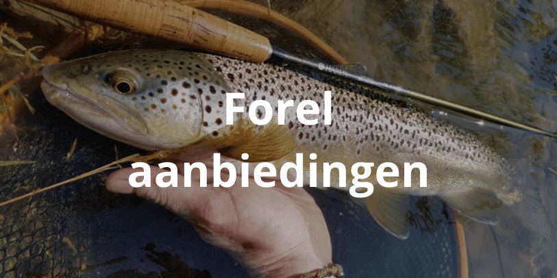 Aanbiedingen forel vismateriaal
