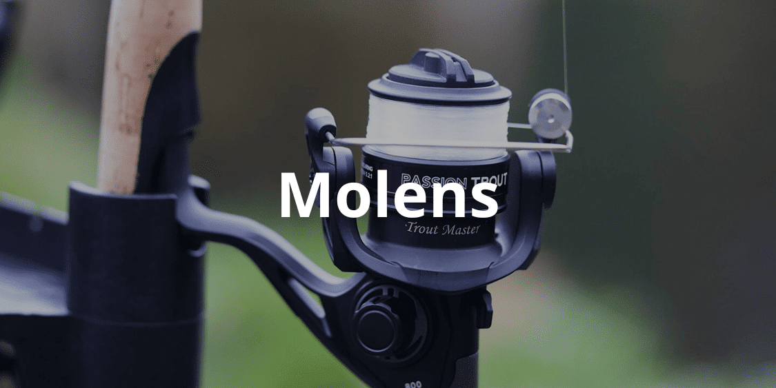 forel molens