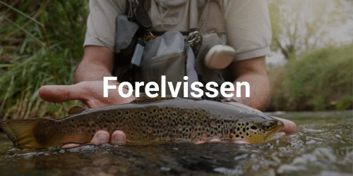 forelvissen materiaal forelvissen materiaal