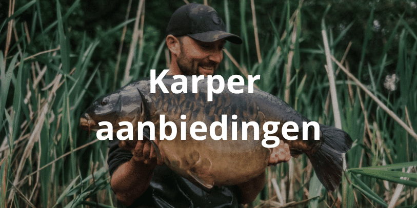 Aanbiedingen karper vismateriaal