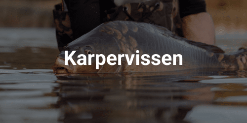 karpervissen materiaal karpervissen materiaal