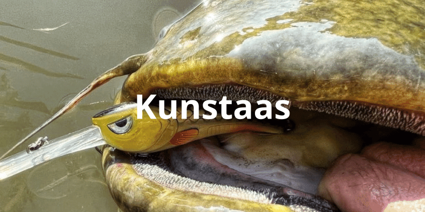Kunstaas