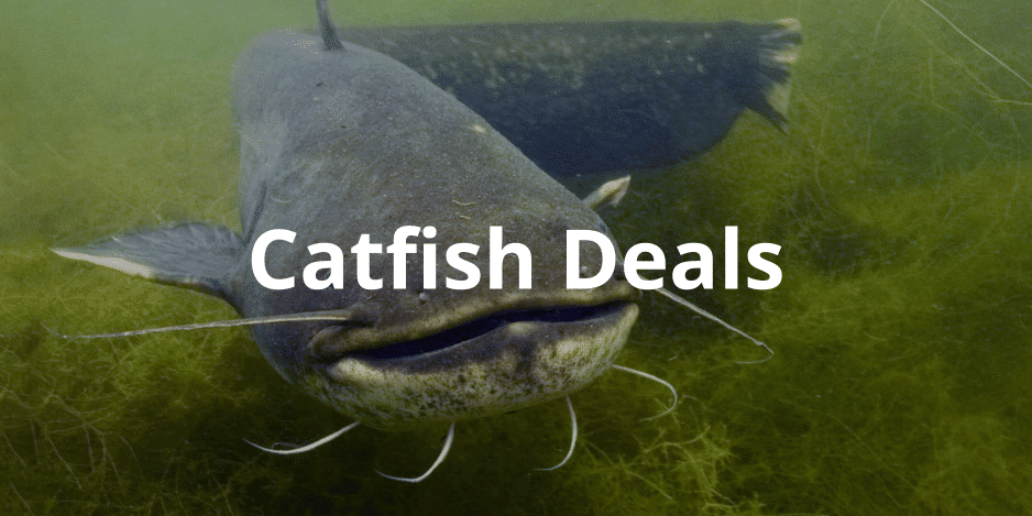 catfish fishing deals