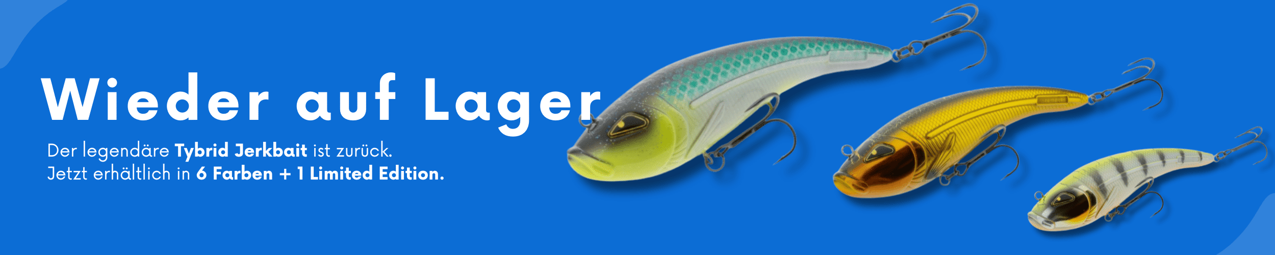 rozemeijer tybrdi