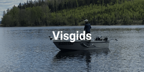 Visgids de goeie vangst Visgids de goeie vangst