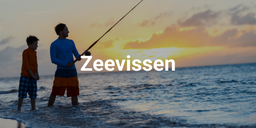 zeevissen materiaal zeevissen materiaal