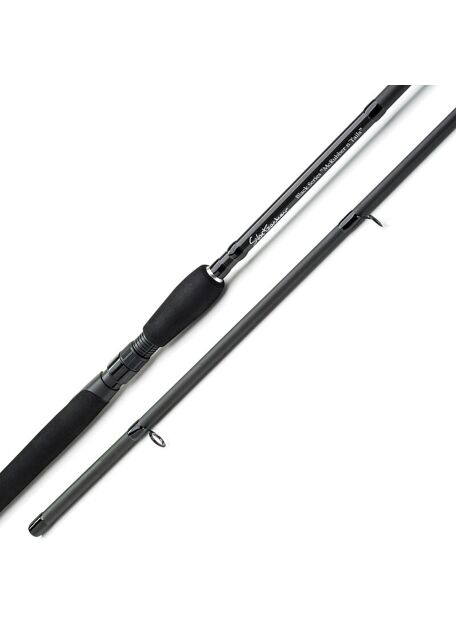 Spinning rods for pike fishing - Bur Now, Fast Home Delivery!