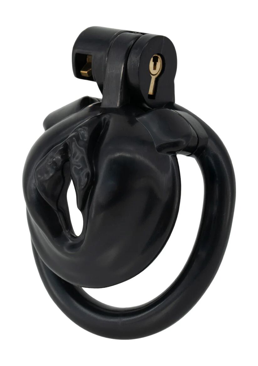 Cage De Chasteté Pour Pénis MASTER SERIES Avec Picots Intérieurs - Taille Unique Noir - Matériau TPR