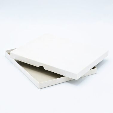 Print File 8 x 10 Polypropylene FoldFlap Sleeves (50-Pack)