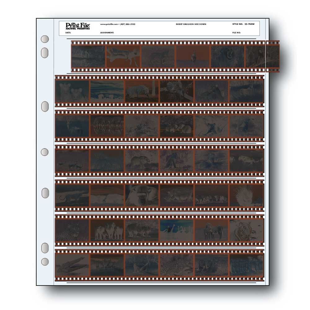Lot De 50 Pages D'archives Pour Négatifs/films 35mm - Sans Acide - ETone