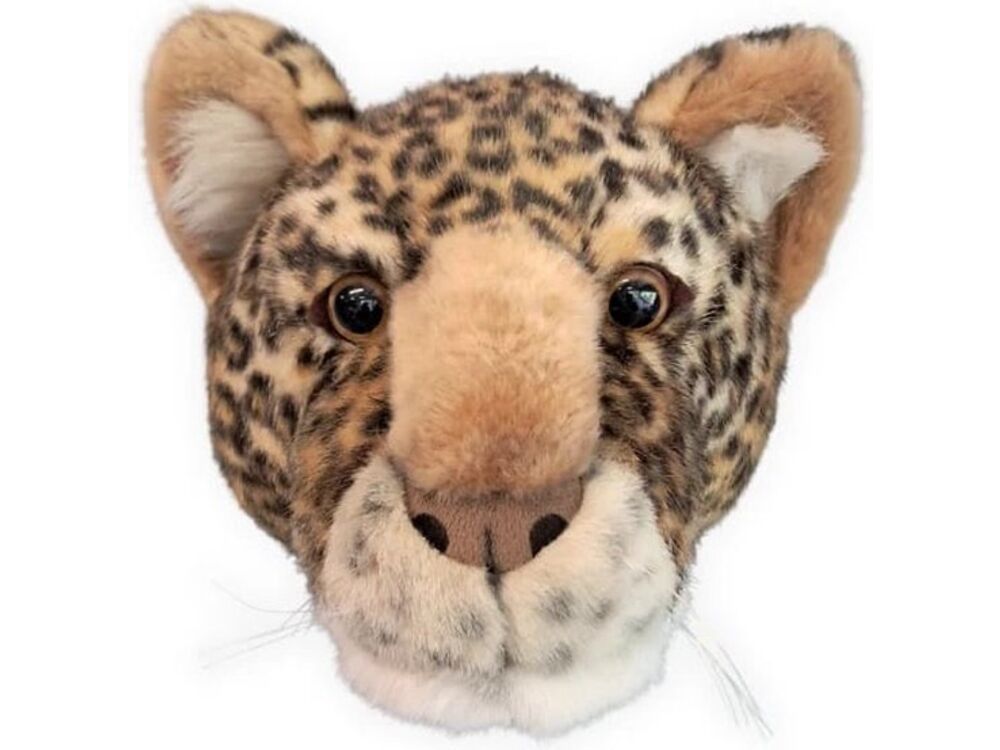 Bruin