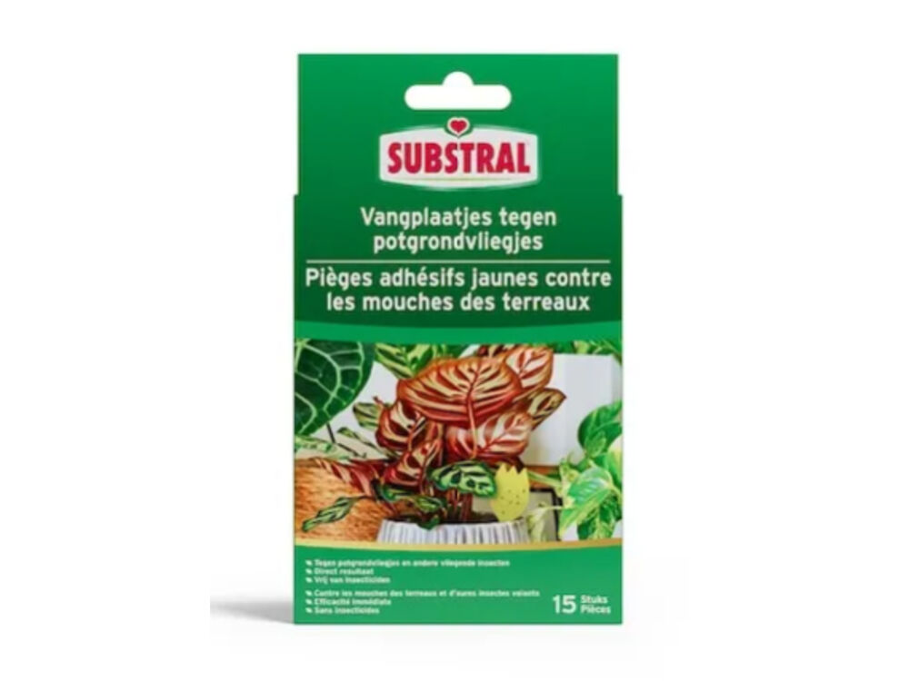 Overige