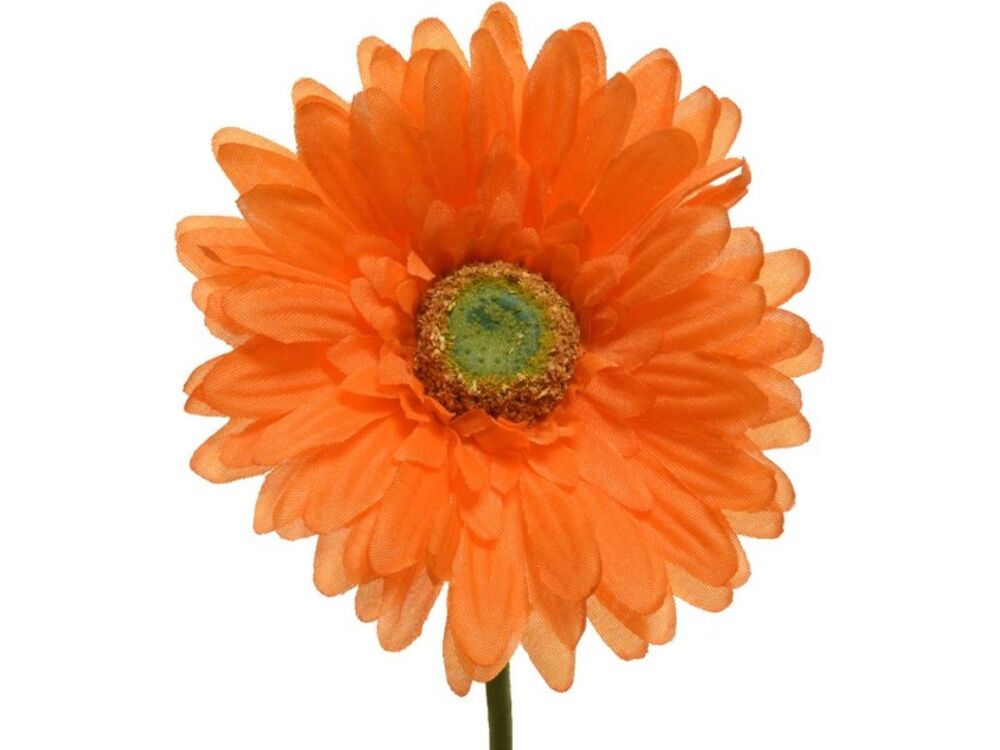 Oranje