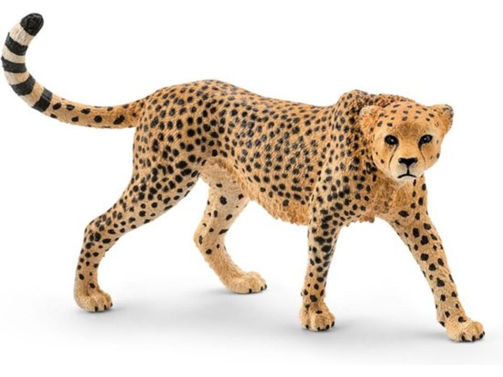 Overige