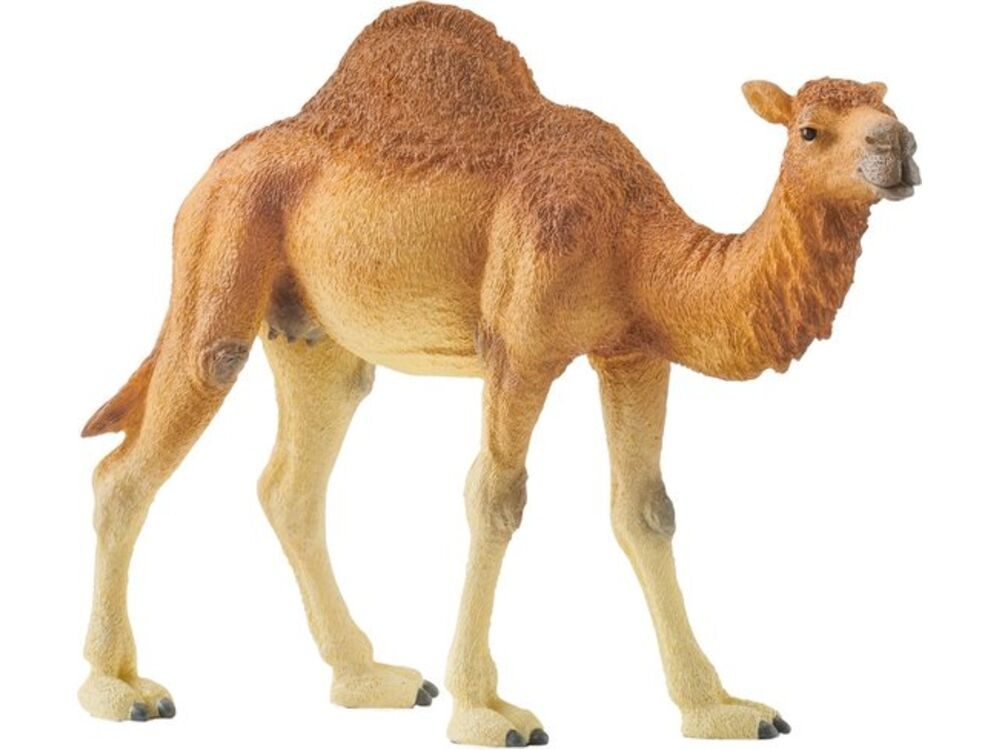 Overige