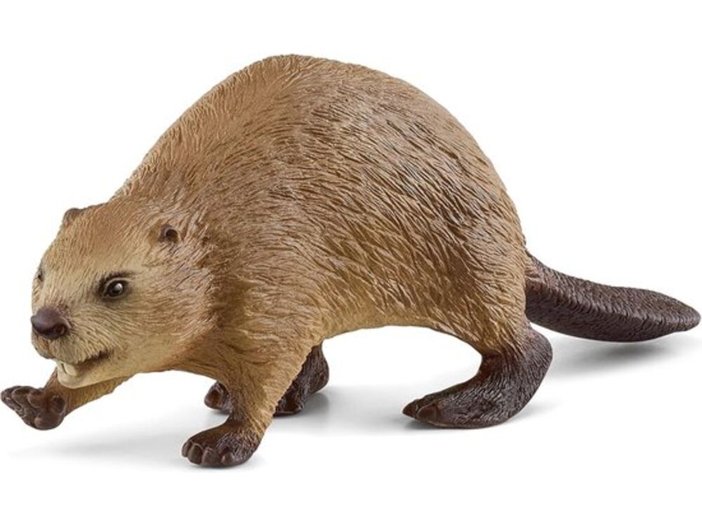 Overige
