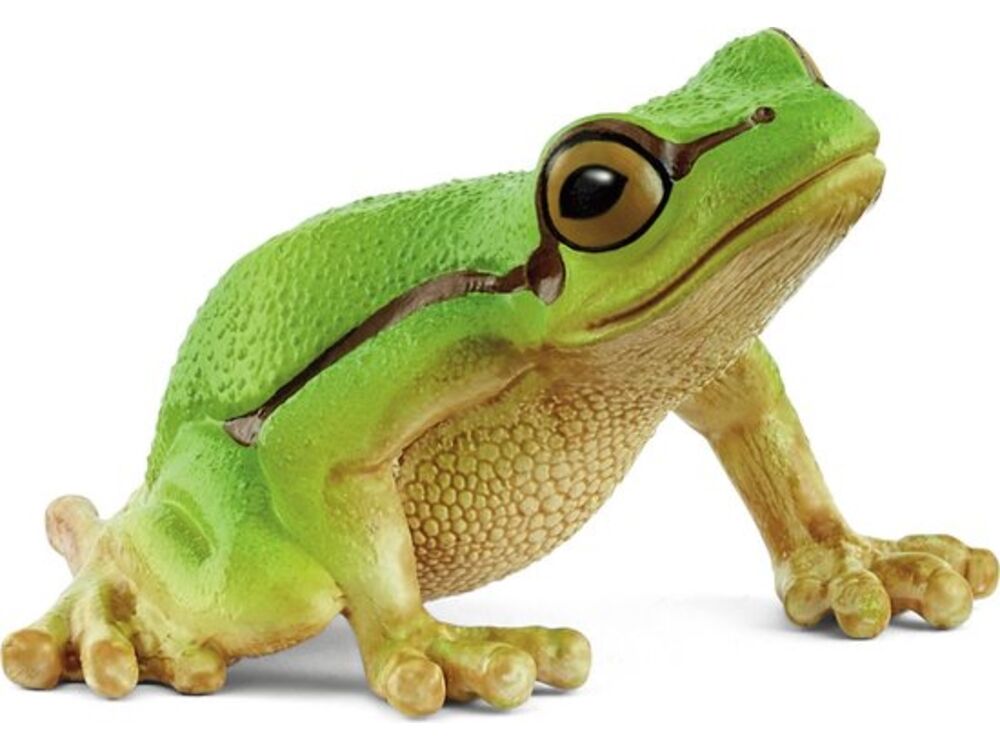 Overige