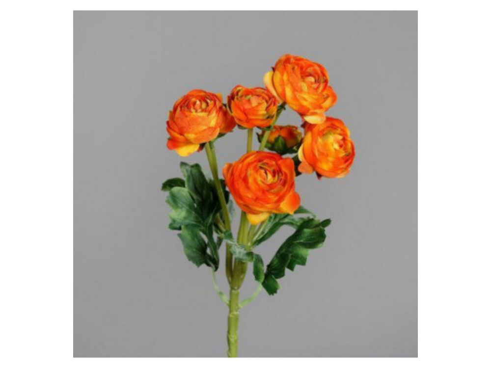 Oranje