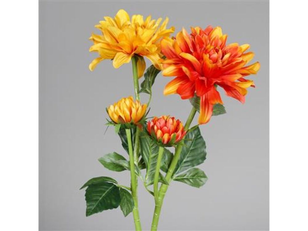 Oranje