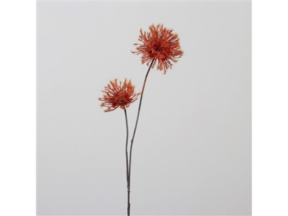 Oranje