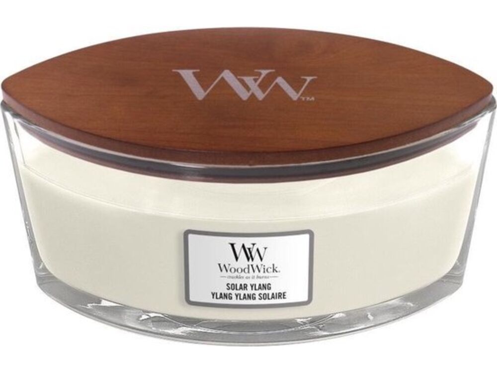 Wit