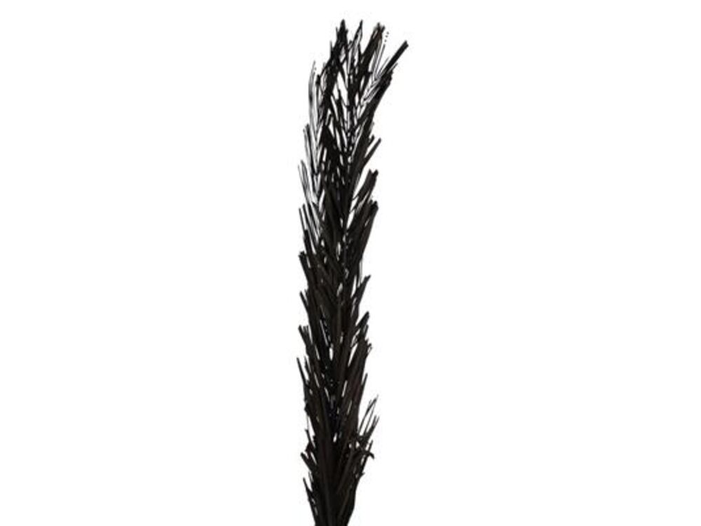 Zwart