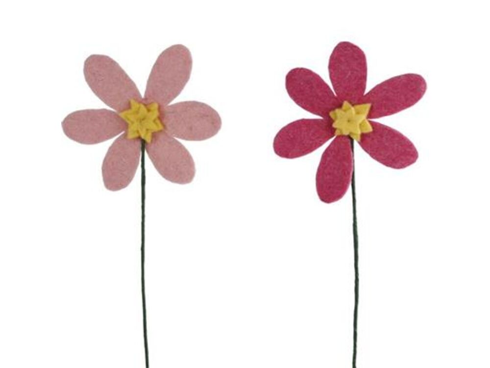 Roze