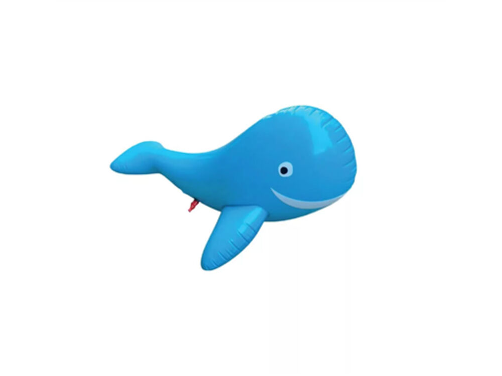 Overige