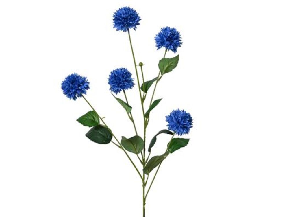 Blauw