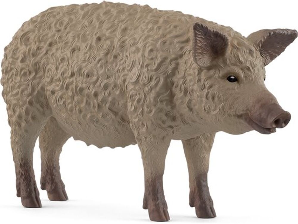 Overige