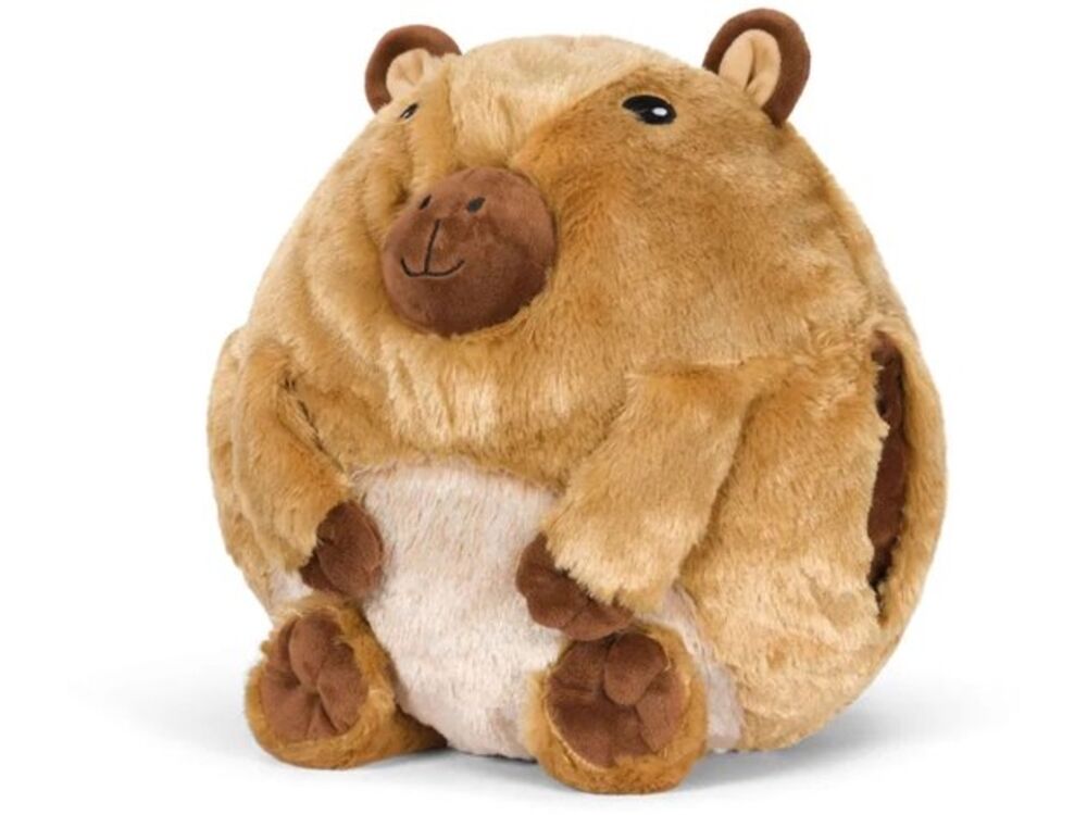 Bruin