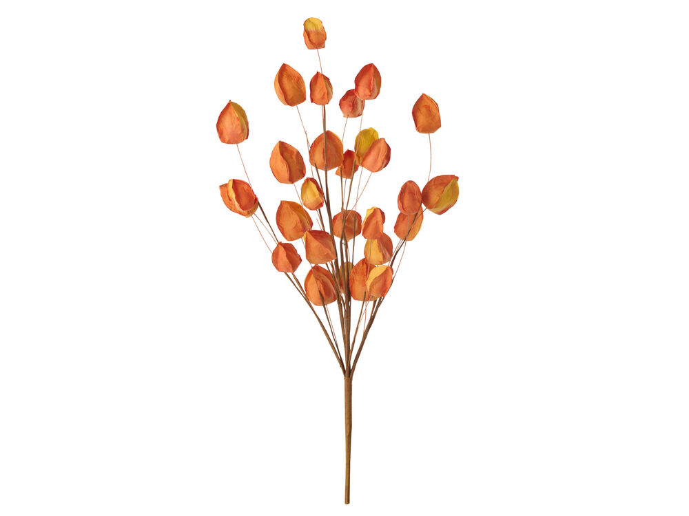 Oranje