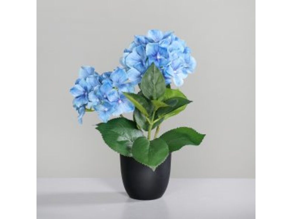 Blauw