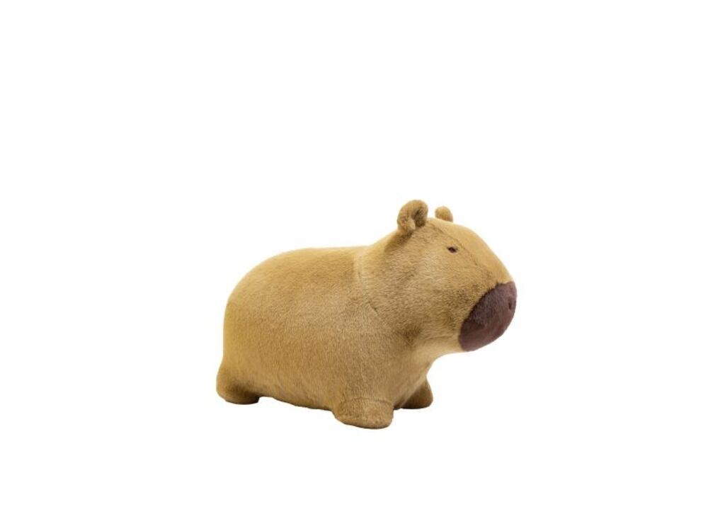 Overige