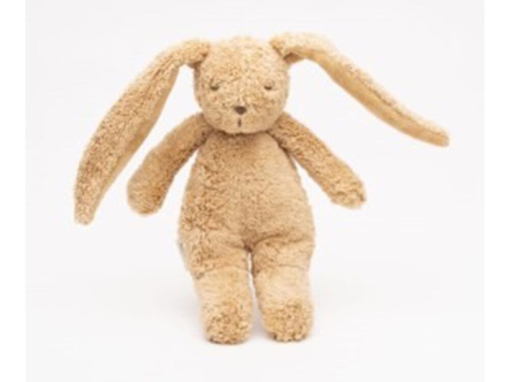 Bruin