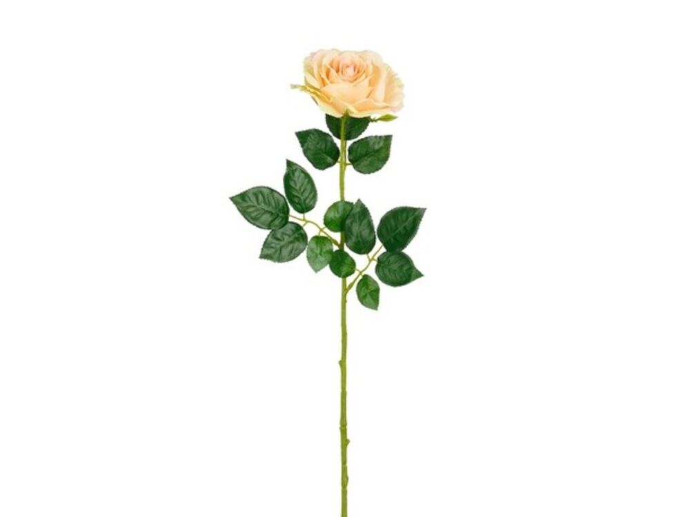 Roze