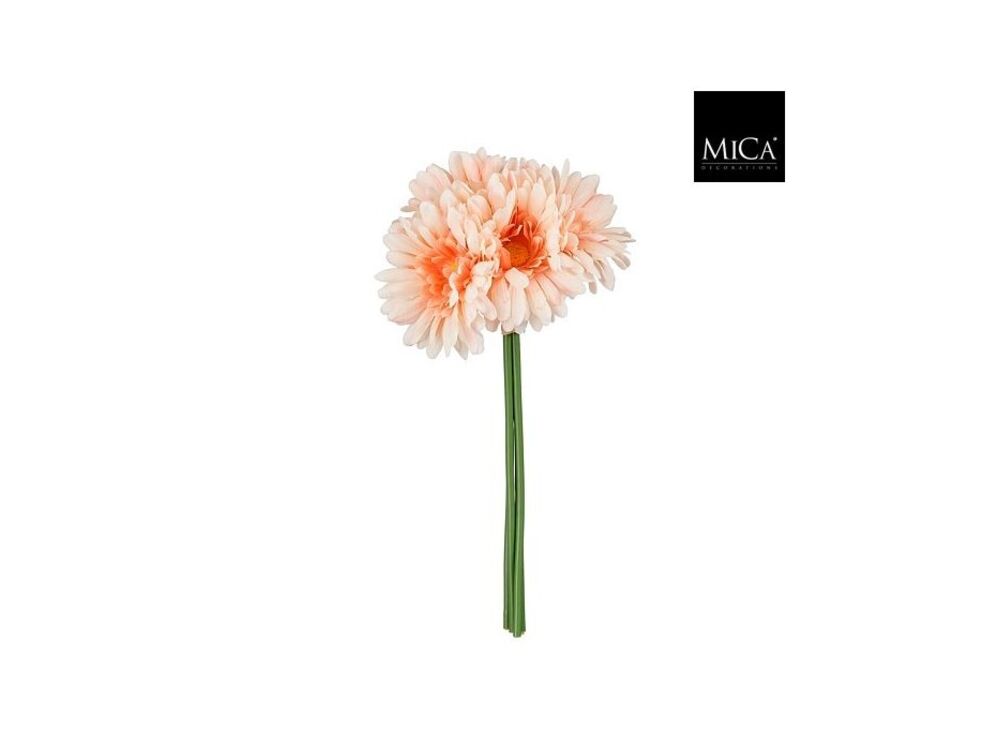 Roze