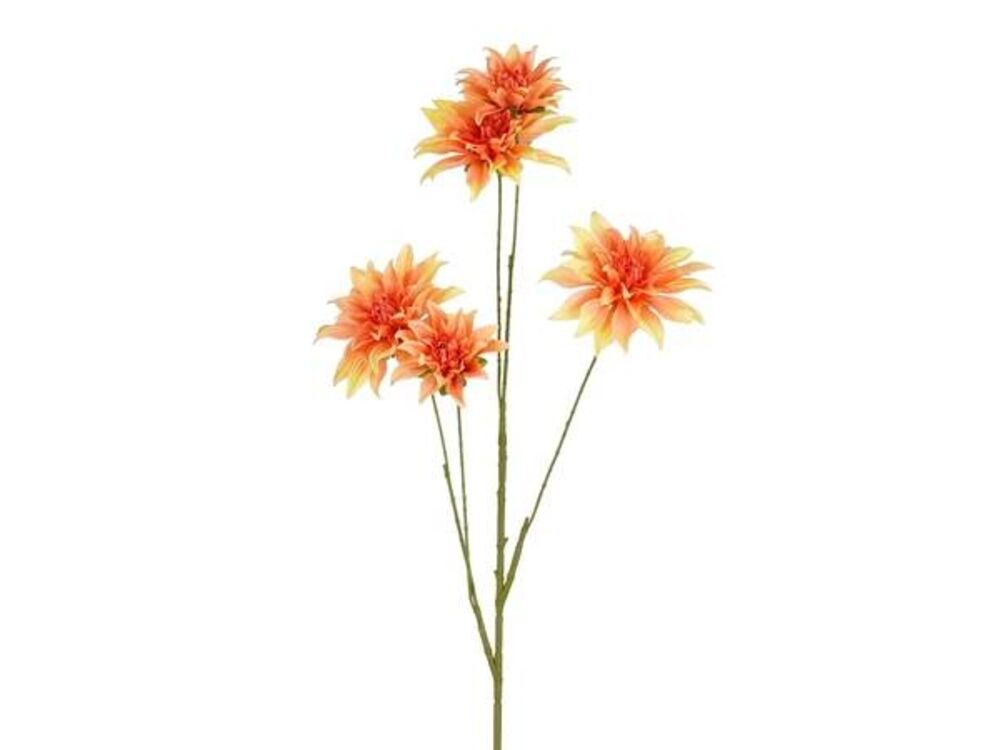 Oranje