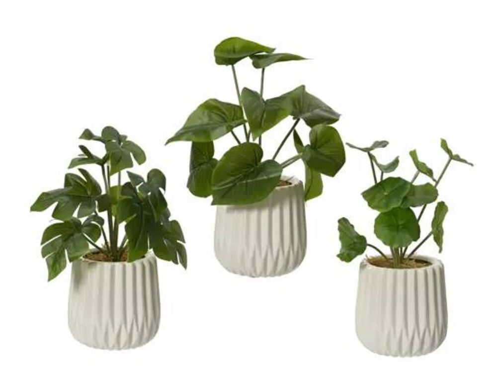 Assortiment