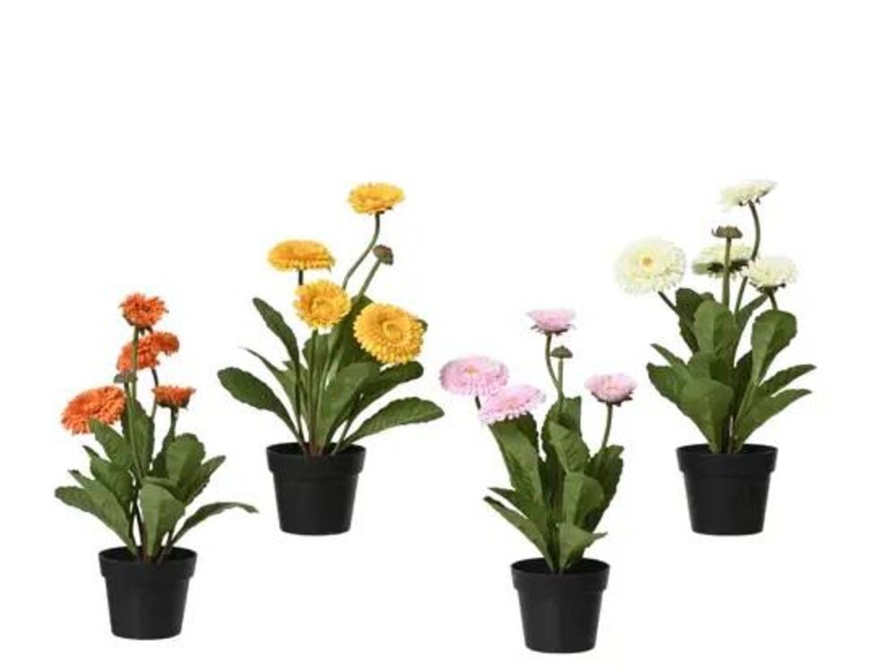 Assortiment