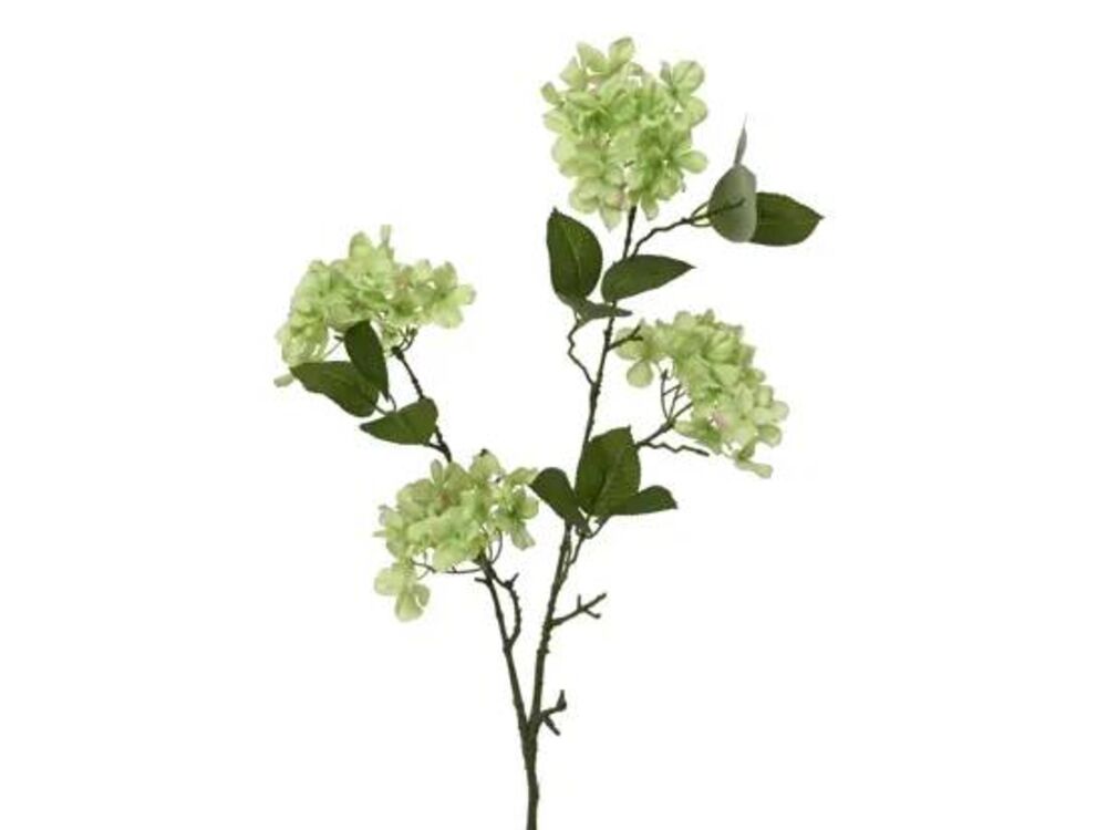 Groen