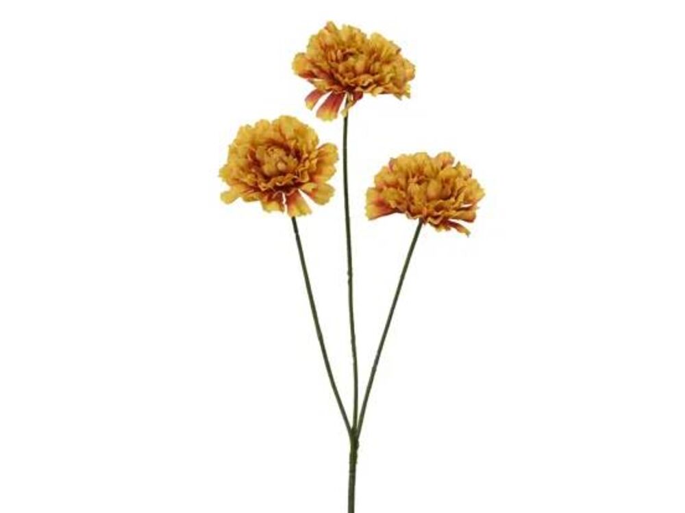 Oranje
