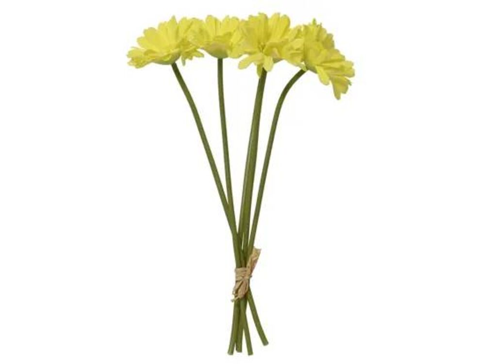 Geel