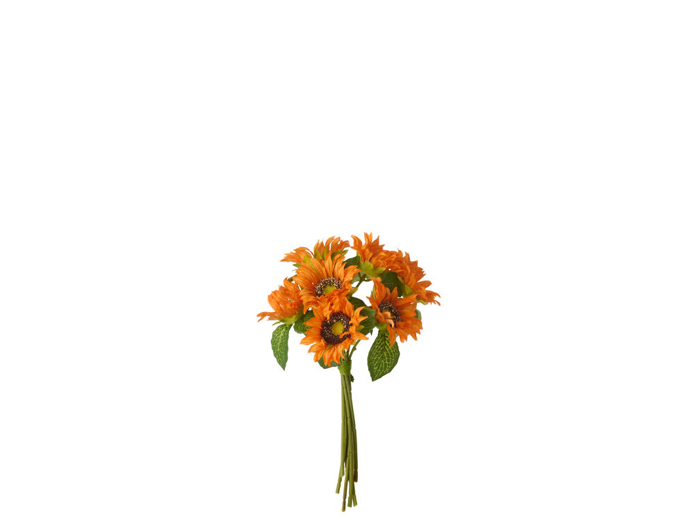 Oranje